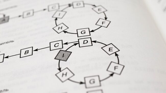 10 Best Sorting Algorithms Explained