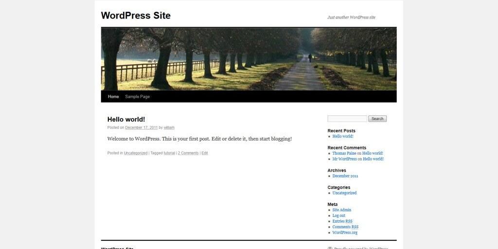 What are ongoing maintenance costs for a WordPress site?