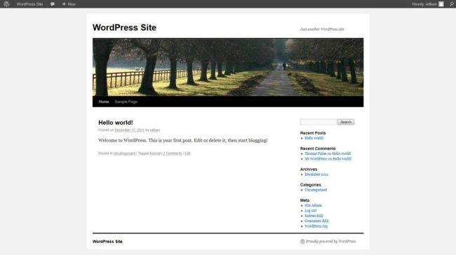 What are ongoing maintenance costs for a WordPress site?