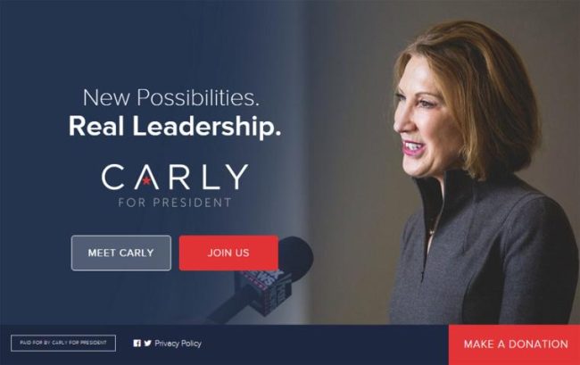 A Political Website’s Guide to the Issues