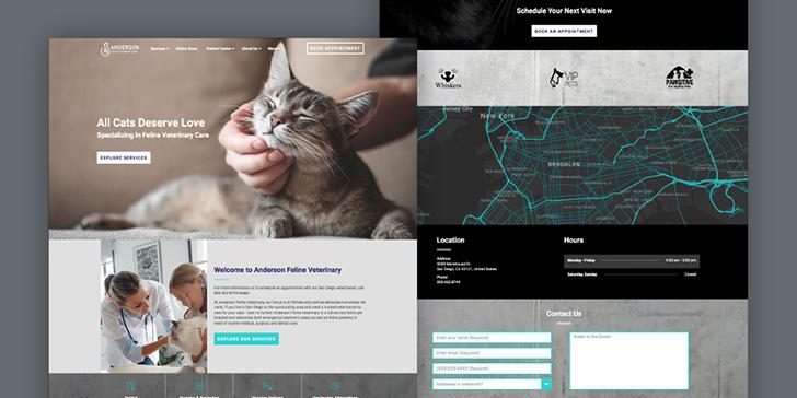 veterinary-web-design-what-you-need-to-know-for-your-practice.jpg Veterinary Web Design: What you need to know for your practice